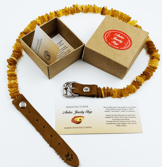 Amber Collars For Dogs and Cats - Natural Tick & Flea Protection