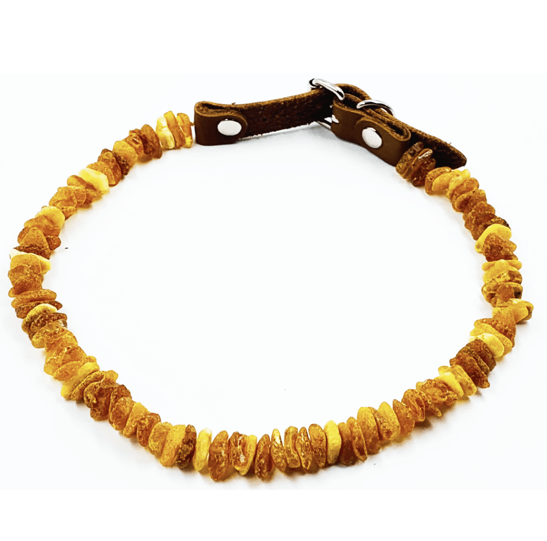 Amber Collars For Dogs and Cats - Natural Tick & Flea Protection