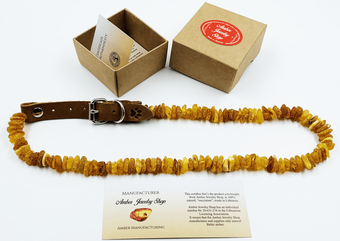 Amber Collars For Dogs and Cats - Natural Tick & Flea Protection