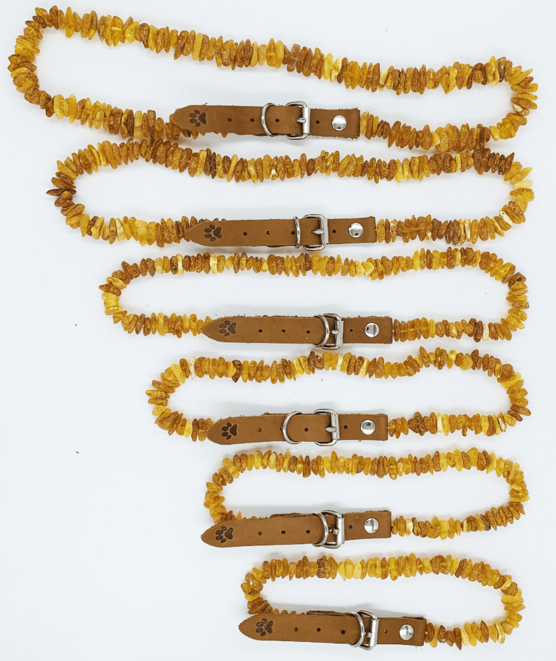 Amber Collars For Dogs and Cats - Natural Tick & Flea Protection