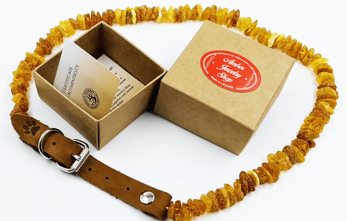 Amber Collars For Dogs and Cats - Natural Tick & Flea Protection