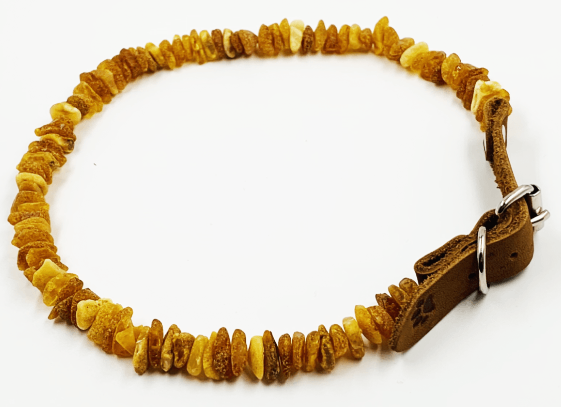 Amber Collars For Dogs and Cats - Natural Tick & Flea Protection