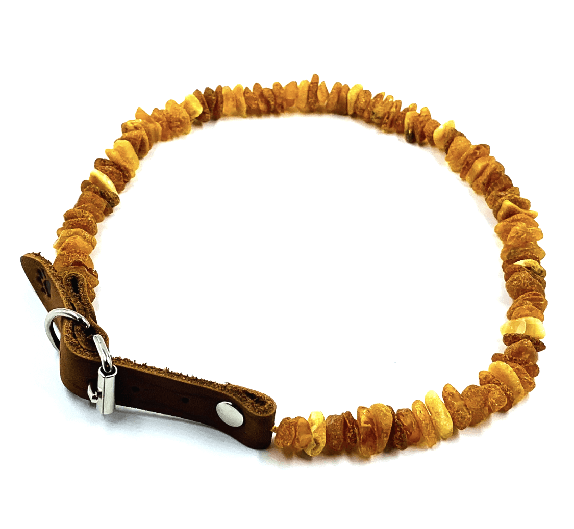 Amber Collars For Dogs and Cats - Natural Tick & Flea Protection