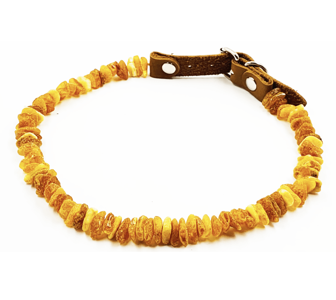 Amber Collars For Dogs and Cats - Natural Tick & Flea Protection