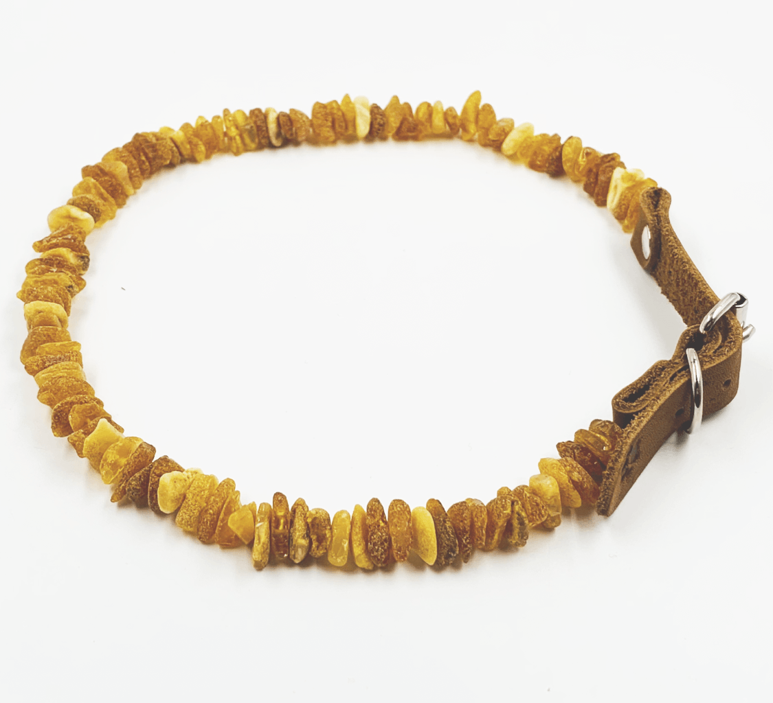 Amber Collars For Dogs and Cats - Natural Tick & Flea Protection