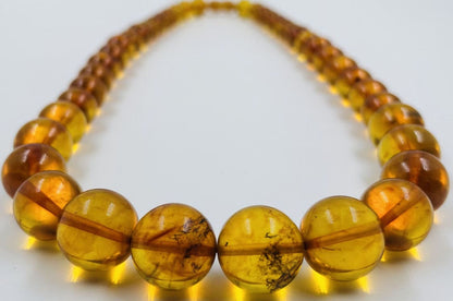 Amber Necklace - Genuine Baltic Amber Necklace pressed