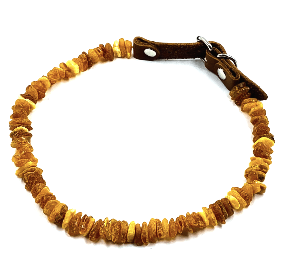 Amber cat collar hot sale