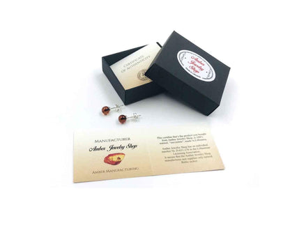 Natural Baltic Amber earrings Amber silver 925 stud earrings
