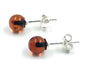 Natural Baltic Amber earrings Amber silver 925 stud earrings